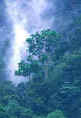 Taman Negara